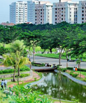 Thi công cây công trình