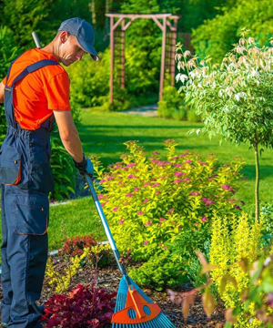 Trồng và chăm sóc cây tận nơi