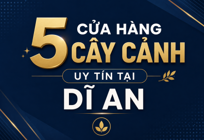 5 Cửa Hàng Cây Cảnh Uy Tín tại Dĩ An