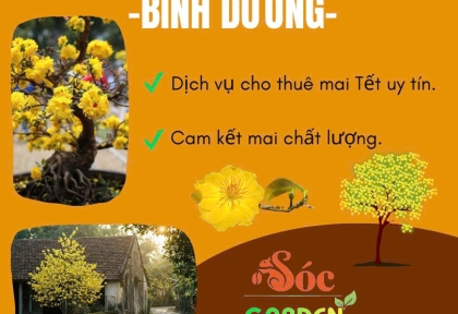 Cho thuê mai Tết giá tốt tại Bình Dương