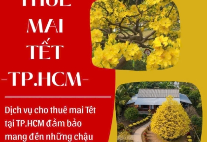 Cho thuê mai Tết tại TP.HCM