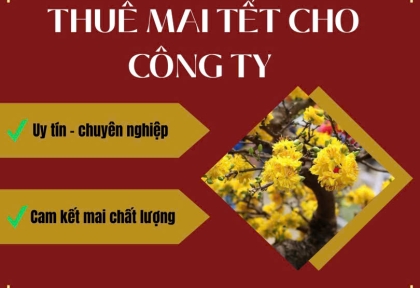 Cho Thuê Mai Tết Cho Công Ty 