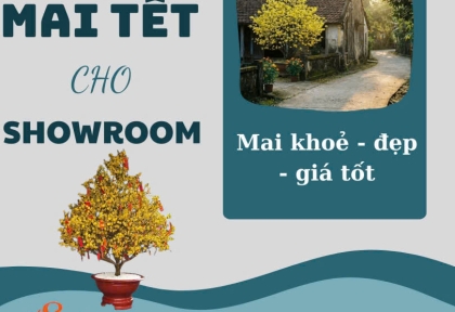 Cho thuê mai Tết cho showroom