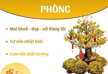 Cho thuê mai Tết cho văn phòng 