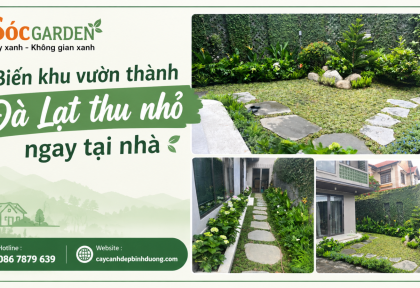 Biến khu vườn thành Đà Lạt thu nhỏ ngay tại nhà