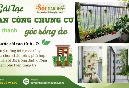 Cải tạo ban công chung cư thành góc sống ảo