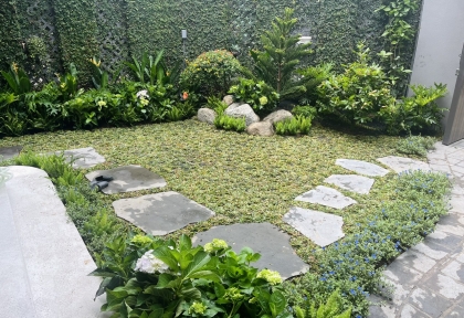 Thi công Cảnh Quan Sân Vườn Tại Dĩ An