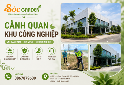 Cảnh quan khu công nghiệp 