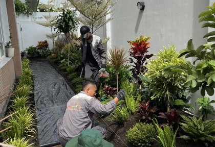 Thi công cảnh quan sân vườn nhà chị Hương tại quận 2 rộng 3m x dài 8m 