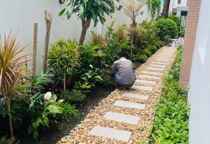 Thi công cảnh quan sân vườn nhà chị Hương rộng 3m x dài 18m tại quận 2 