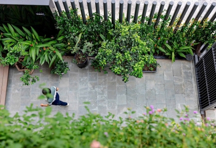 Thi Công Cảnh Quan Công Ty Trọn Gói Tại Tp.hcm