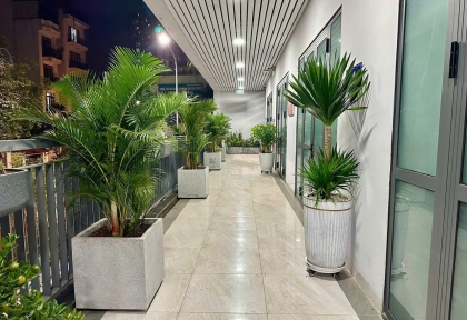 Thi Công Cảnh Quan Công Trình Bình Dương