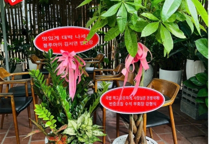 Cây quà tặng decor hiện đại 