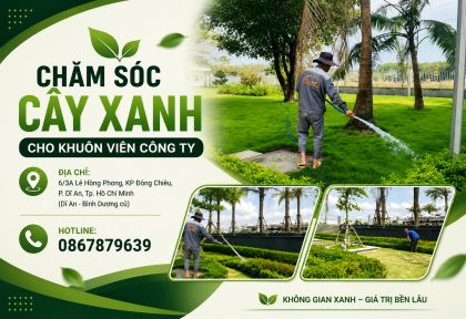 Chăm sóc cây xanh cho khuôn viên công ty