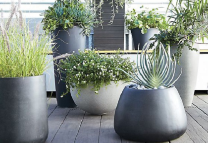 Chậu xi măng đá mài là gì? Ưu điểm và lý do được nhiều người chọn