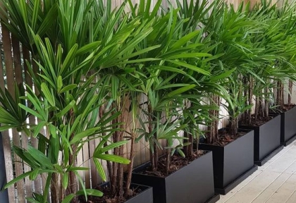 Địa chỉ mua chậu xi măng đá mài uy tín tại TP.HCM – Bình Dương – Biên Hòa