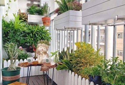  Cách bảo quản và vệ sinh chậu xi măng đá mài để luôn bền – đẹp như mới