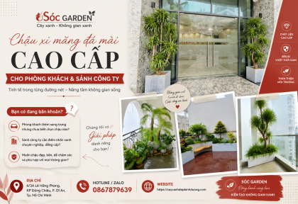 Chậu đá mài cao cấp cho phòng khách và sảnh công ty
