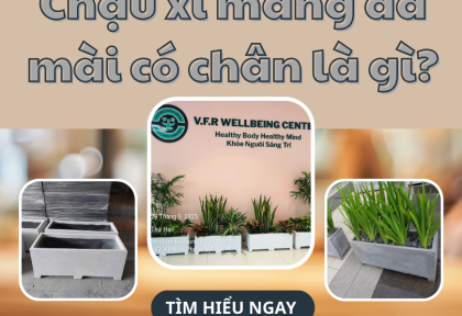 Chậu xi măng đá mài có chân là gì?