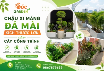 Chậu xi măng đá mài lớn cho cây công trình