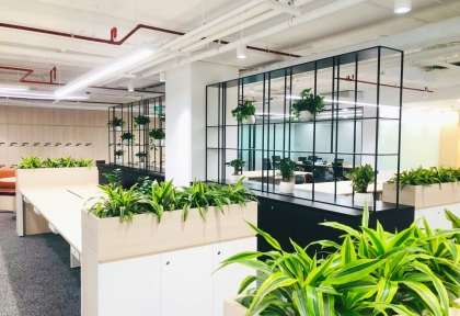 Giải Pháp Cho Thuê Cây Văn Phòng Tiết Kiệm