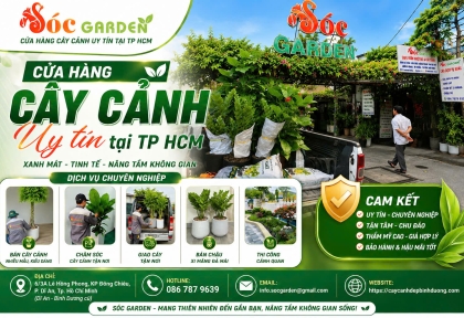 Cửa hàng cây cảnh có giao tận nơi ở Phường Đông Hòa 