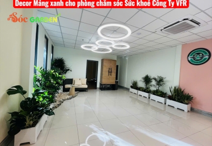 Sóc Garden cung cấp cây và Decor mảng xanh cho phòng wellbeing Công ty TNHH Furniture Resources Việt Nam