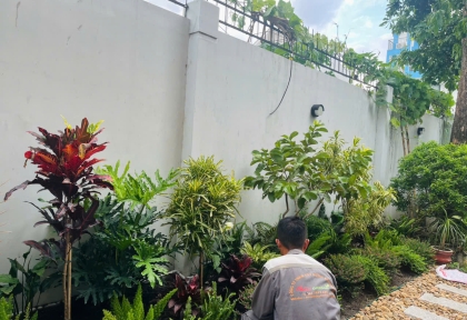 Thi công cảnh quan sân vườn bên nhà hông nhà rộng 3m x dài 18m tại quận 2 