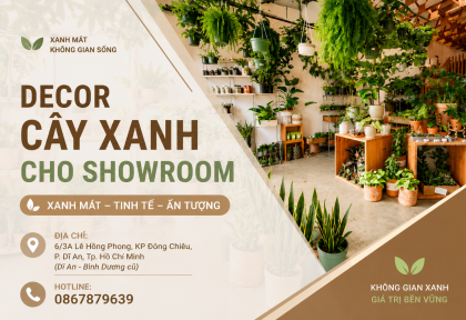 Thi công cảnh quan showroom