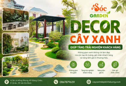 Decor cây xanh giúp tăng trải nghiệm khách hàng