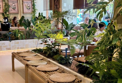 Decor quán cafe bằng cây xanh  