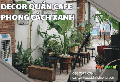 Decor quán cafe phong cách xanh
