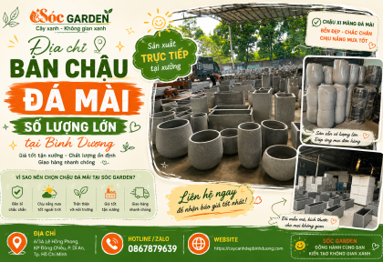 Địa chỉ bán chậu đá mài số lượng lớn tại Bình Dương