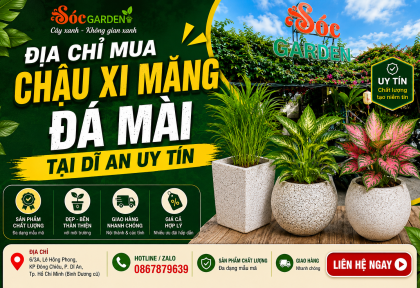Địa chỉ mua chậu xi măng đá mài tại Dĩ An uy tín