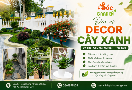 Đơn vị decor cây xanh uy tín