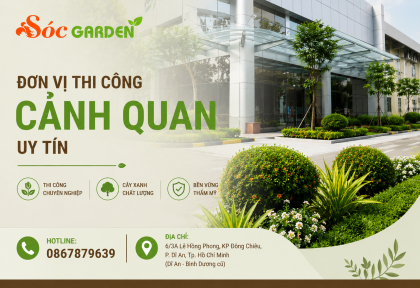 Đơn vị thi công cảnh quan uy tín 
