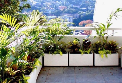  Chậu xi măng đá mài decor sân vườn – quán cà phê – biệt thự