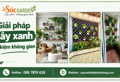 Giải pháp cây xanh tiết kiệm không gian