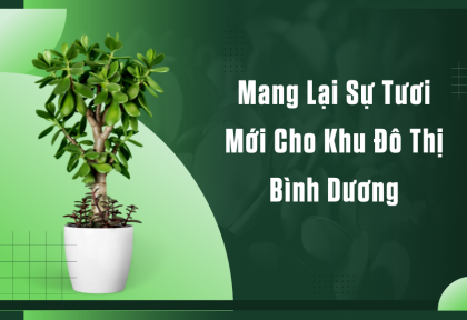 Mang Lại Sự Tươi Mới Cho Khu Đô Thị Bình Dương