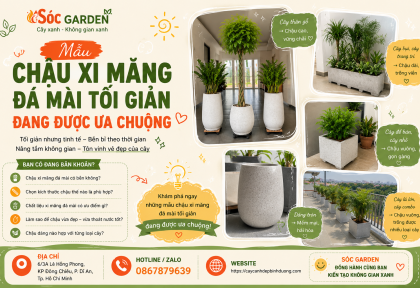 Mẫu chậu xi măng đá mài tối giản được ưa chuộng