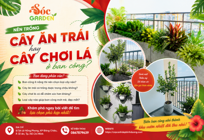 Nên trồng cây ăn trái hay cây chơi lá ở ban công