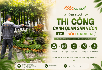 Qui trình thi công cảnh quan sân vườn của Sóc Garden