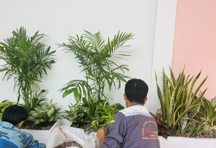 Quy trình chăm sóc cây xanh văn phòng định kỳ chuyên nghiệp tại Bình Dương