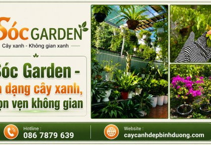 Sóc Garden - Đa dạng cây xanh, trọn vẹn không gian