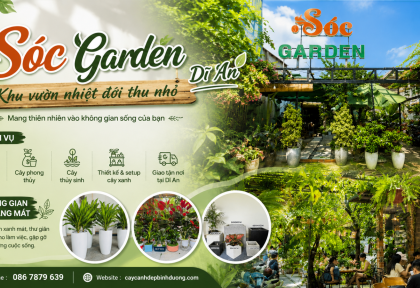 Sóc Garden Dĩ An : Khu vườn nhiệt đới thu nhỏ 