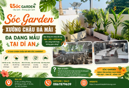 Sóc Garden–xưởng chậu đá mài đa dạng mẫu tại Dĩ An