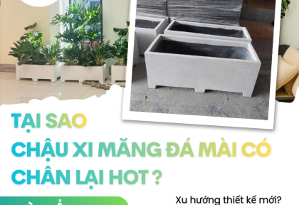 Tại sao chậu xi măng đá mài có chân lại hot