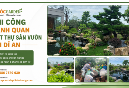 Thi công cảnh quan biệt thự sân vườn tại Dĩ An