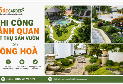 Thi công cảnh quan biệt thự sân vườn tại Đông Hòa