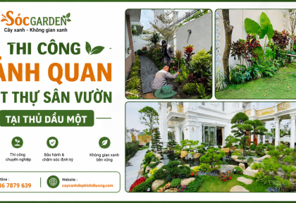 Thi công sân vườn biệt thự tại Thủ Dầu Một